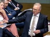 Prime Minister Anthony Albanese in question time. Picture by Elesa Kurtz