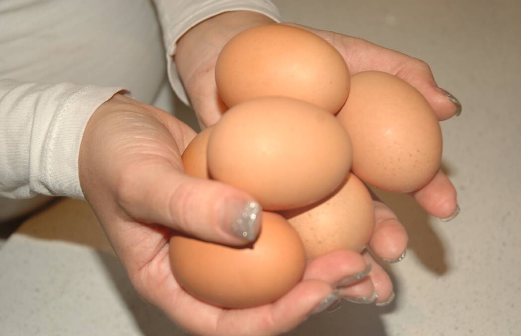 WHAT ARE YOU REALLY BUYING?: Are we getting fair dinkum eggs? It’s pretty hazy on what actually constitutes free-range. Photo: FILE PHOTO