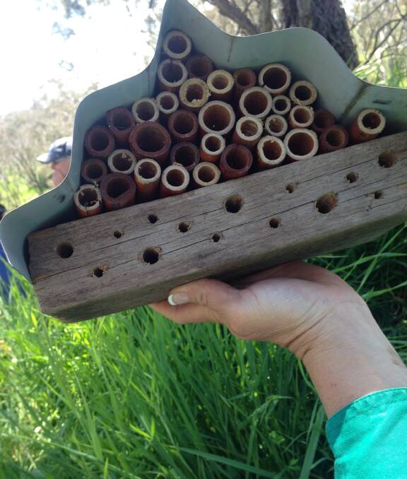 A BEE MOTEL: Celebrate Native Pollinator Week by building your own house for bees. You can learn how at the Bee Forage Garden workshop. Photo: CONTRIBUTED