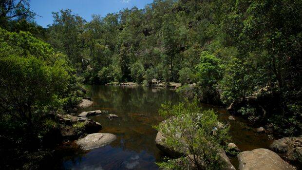 GORGEOUS SETTING: Michael McFadyen, who worked for the National Parks and Wildlife Service for 30 years, has lamented its decline. Photo: SYDNEY MORNING HERALD