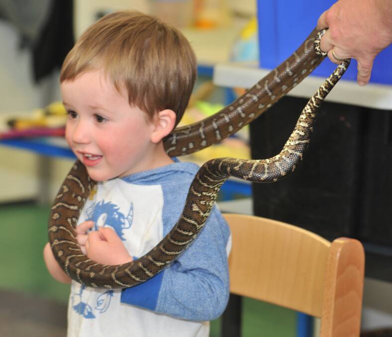 Bob Turner Wildlife reptile presenter Kym Beckton dazzles youngsters