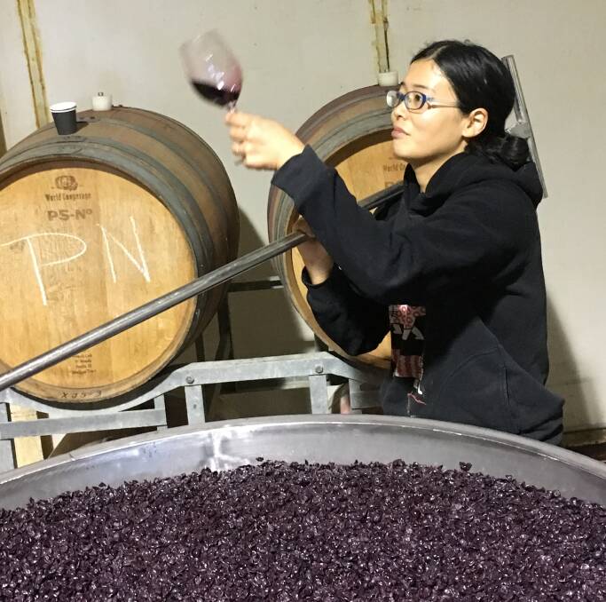 STILL WORKING: The last fermenters of Cabernet Sauvignon will be pressed over the coming days and then vintage will be wrapped. Photo: CONTRIBUTED