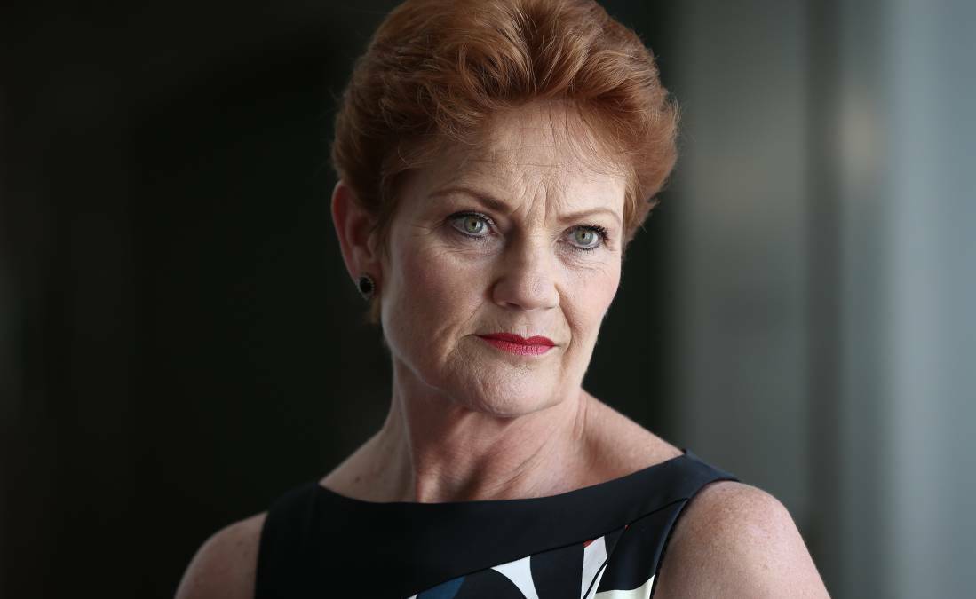 LESSON: "I would say to Pauline Hanson, if we have freedom of religion then she cannot stop Moslems, as such, from coming to this country" - David J Huck. Photo: SMH