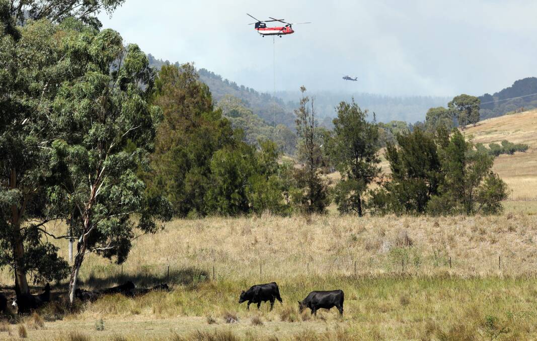 ON THE GROUND: Firefighting helicopters ready to discharge their water payloads near Mount Canobolas on Sunday. Photos: ANDREW MURRAY 0211amfire5