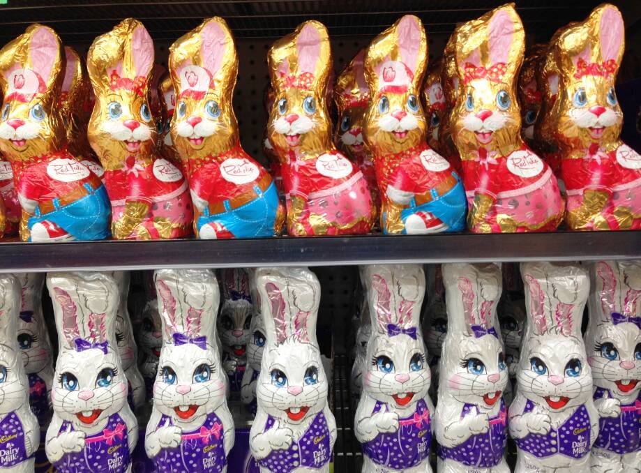 TOO SOON?: Stores are already full of Easter Bunnies two months out from Easter and the traditional time of their consumption. Photo: CONTRIBUTED