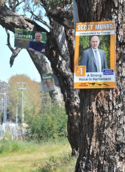 TREE CHANGE NEEDED: Election posters on Forest Road. Photo: JUDE KEOGH