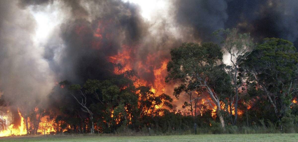 RIGHT DECISION: Emergency Services Minister Troy Grant said the response to the weekend's fires, like the one at Uarbry, indicate the NSW RFS base belongs in Sydney.