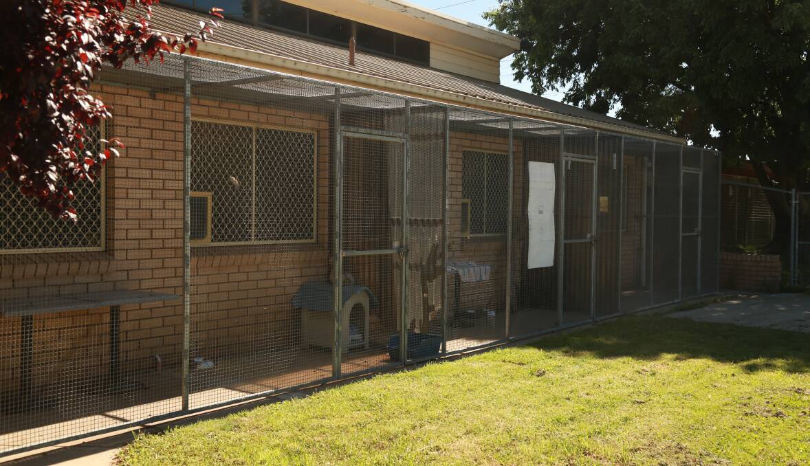 STANDING EMPTY: The after-hours cages at the RSPCA's William Street premises are not available to those who find dogs roaming. Photo: PHIL BLATCH 1125pbrspca1