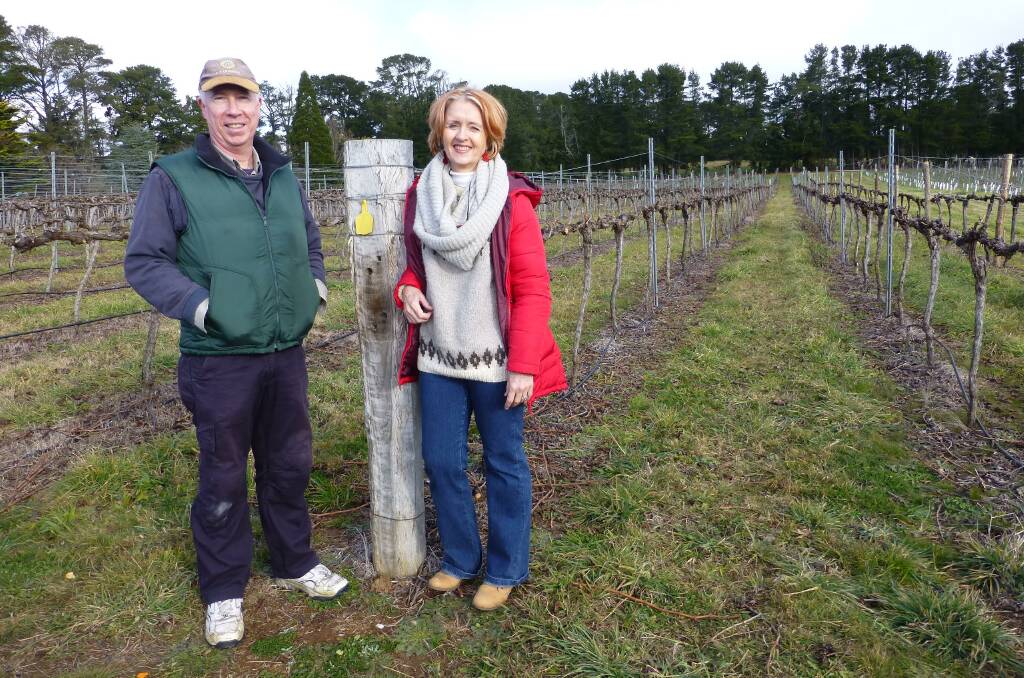 PROUD AS PUNCH: Colmar Estate owners Bill and Jane Shrapnel won three medals at the Sydney Royal Wine Show.