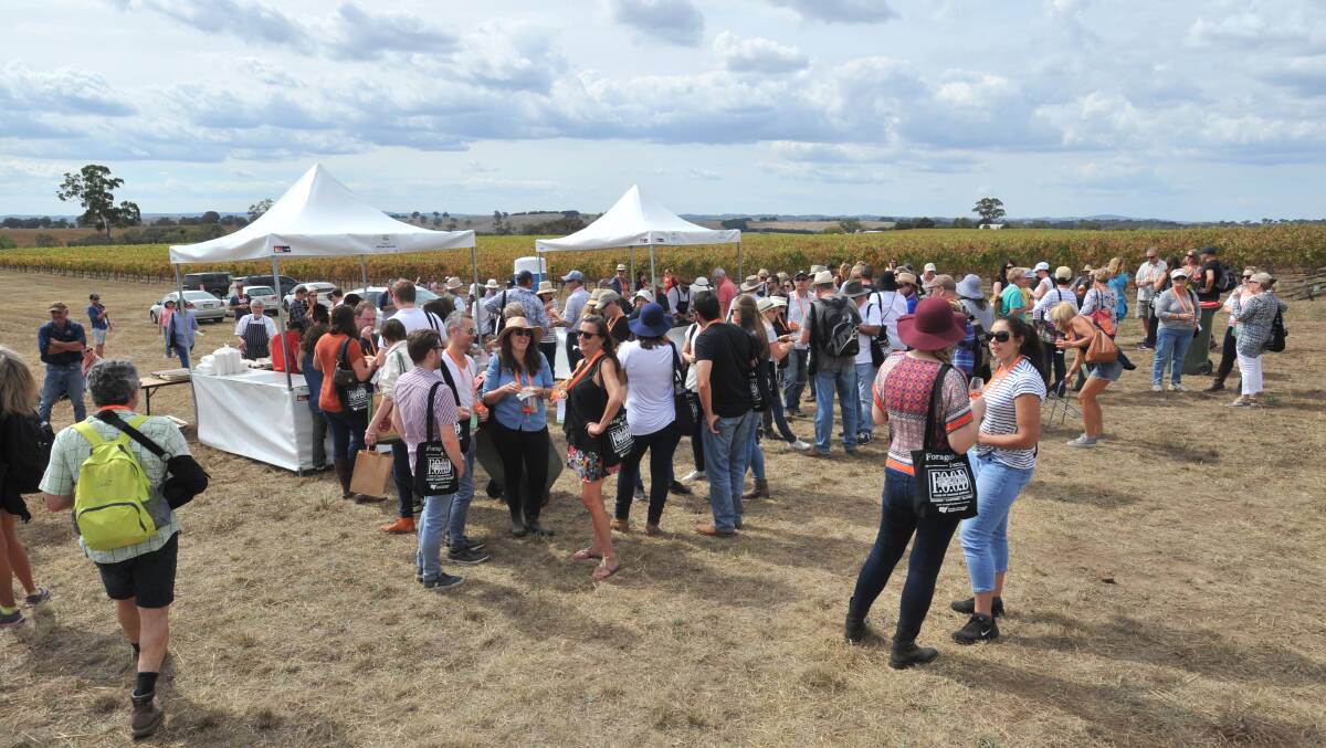 OUT TO PASTURE: The FOOD Week Forage event has sold out once again after tickets went on sale on Monday. Photo: JUDE KEOGH