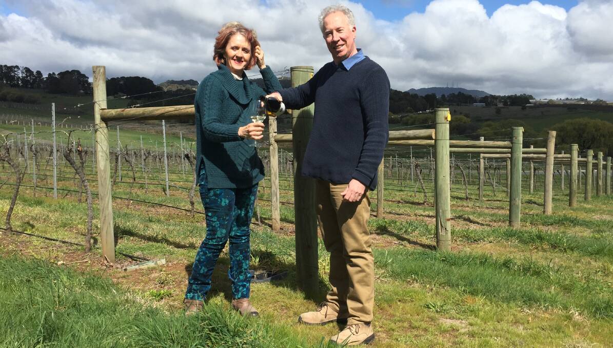 HERE'S CHEERS: Colmar Estate owners Jane and Bill Shrapnel celebrate with a glass of their award-winning chardonnay. Photo: DAVID FITZSIMONS