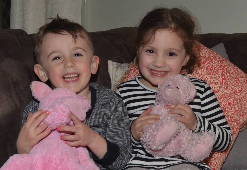 FRIENDLY BEARS: Oscar Halls, 4, and Isabelle Johnson-Dunn, 5, are looking forward to going to the Play School show. Photo: DAVID FITZSIMONS 0711dfplay2 