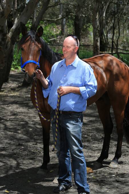 PROUD OWNER: Michael Plummer with Royal Abbey at his Towac Park stables. Photo: PHIL BLATCH