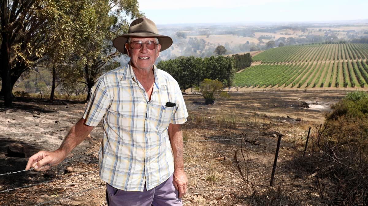 LOST CROP: David Gartrell on his property the day after the fire threatened his vineyard. Photo: ANDREW MURRAY 0212amfire14