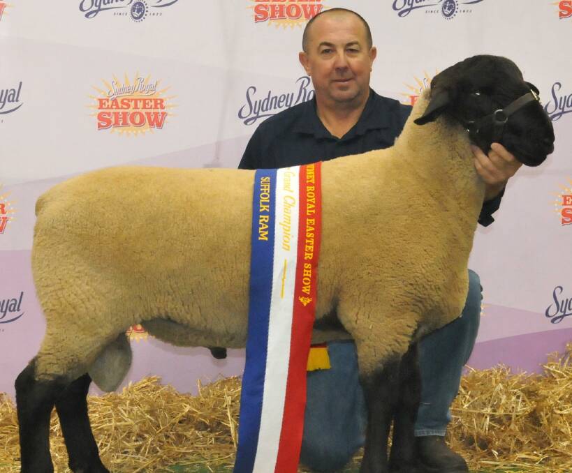 GRAND RAM: Greg Good with his reserve champion Suffolk ram at the 2017 Sydney Royal Easter Show. Mr Good's stock secured  three top awards at this year’s show. Photo: WAYNE JENKINS