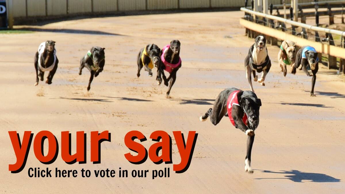 YOUR SAY: Greyhound racing ban | Poll
