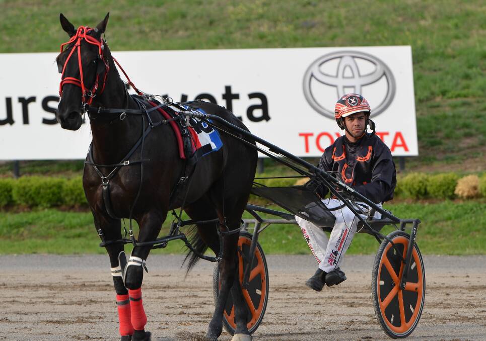 CONFIDENT: Driver Nathan Xuereb believes Redbelly Jack can make the Soldiers Saddle final. Photo: ANYA WHITELAW