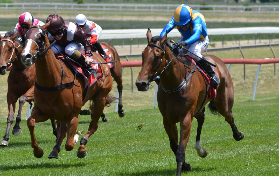 JUDGE RULES: Greg Ryan (right) guides the Bjorn Baker-trained Judge Judi to the lead at Tyers Park on Friday. Photo: ANYA WHITELAW