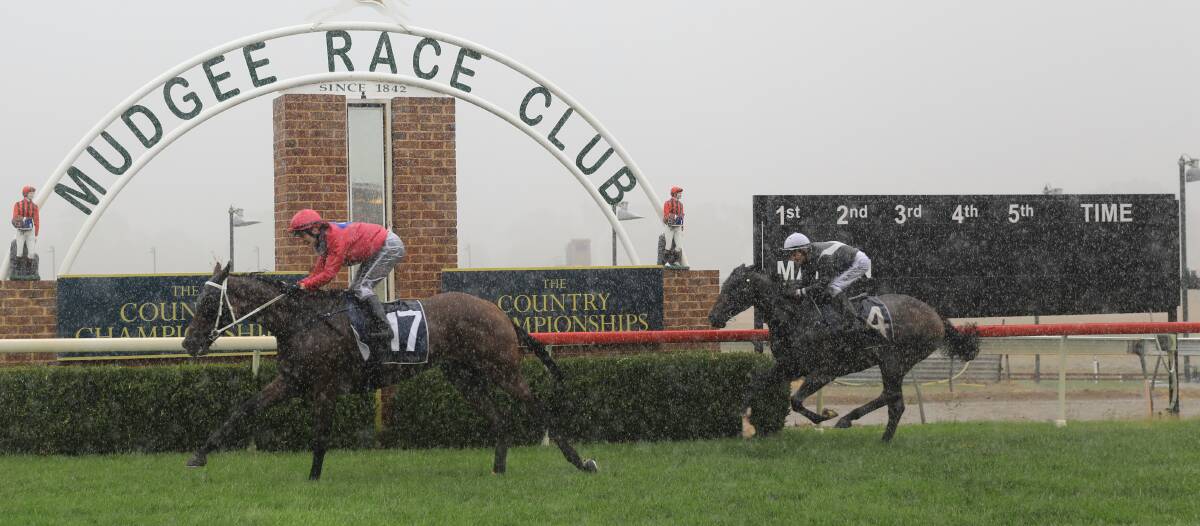 All the action from a torrential race at the Mudgee Race Club
