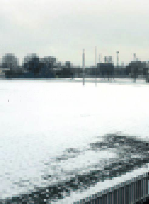 NO GO: Wade Park during last year's huge snow fall. The ground has again been closed due to poor weather this weekend. 