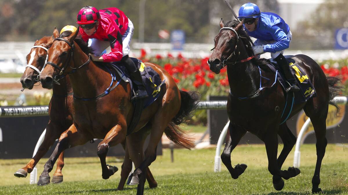 MAGIC RUN: Lee Magorrian (left) rides Secret Lady to win at the Golden Gift during the Thoroughbred Breeders NSW Race Day at Rosehill last November. Photo: DANIEL MUNOZ