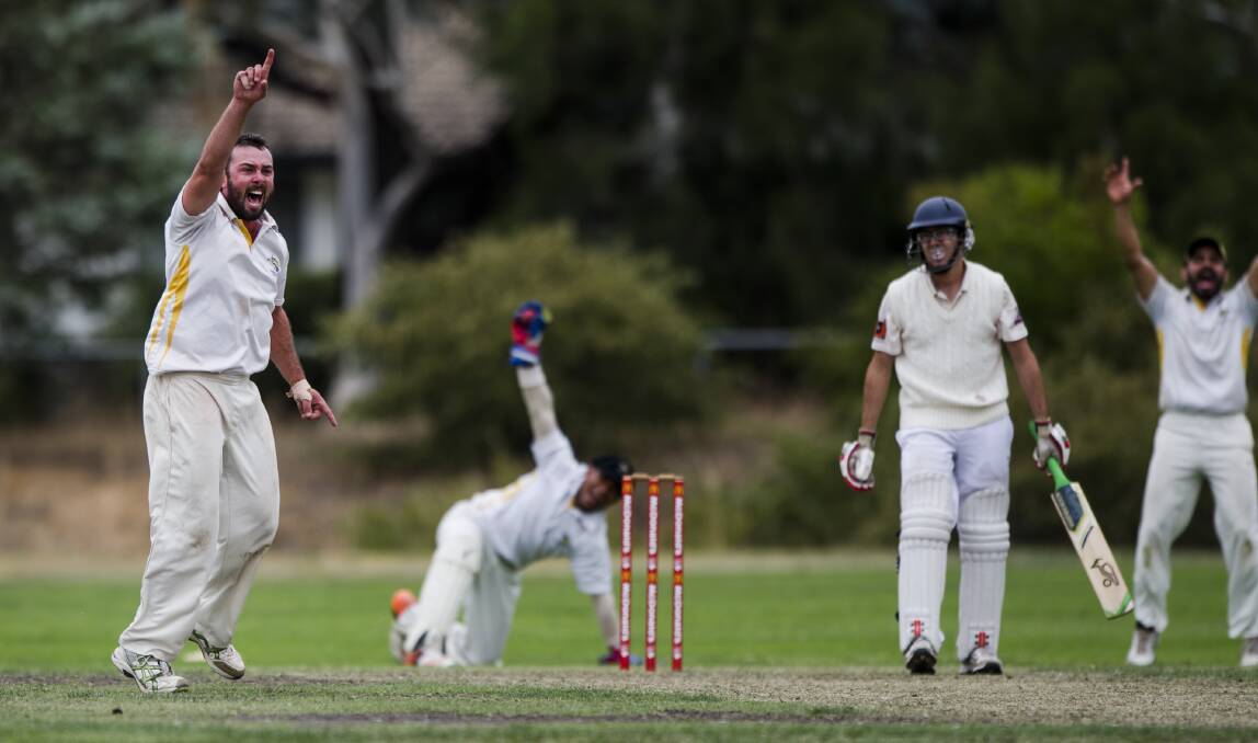 FAMILIAR FACE: Former Orange CYMS quick Mick Delaney, pictured taking a wicket for Ginninderra in Canberra, will be in Orange on the weekend as the ACT Aces coach. Photo: JAMILA TODERAS