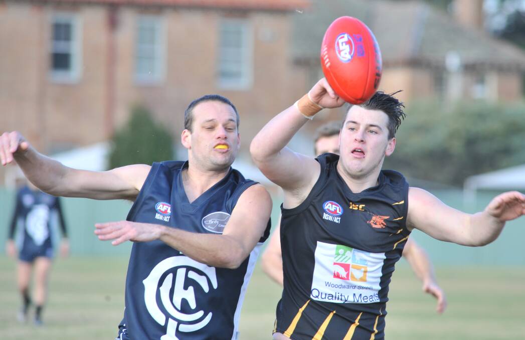 RUCK IT OUT: Tiger Chris Rothine is on the ball against the Blues last weekend at Country Club. Photo: JUDE KEOGH 