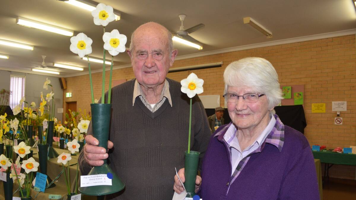 GREEN THUMBS: Peter and Joan Stonestreet of Blayney were the most successful exhibitors in daffodils within 100km of Orange at the springtime flower show.