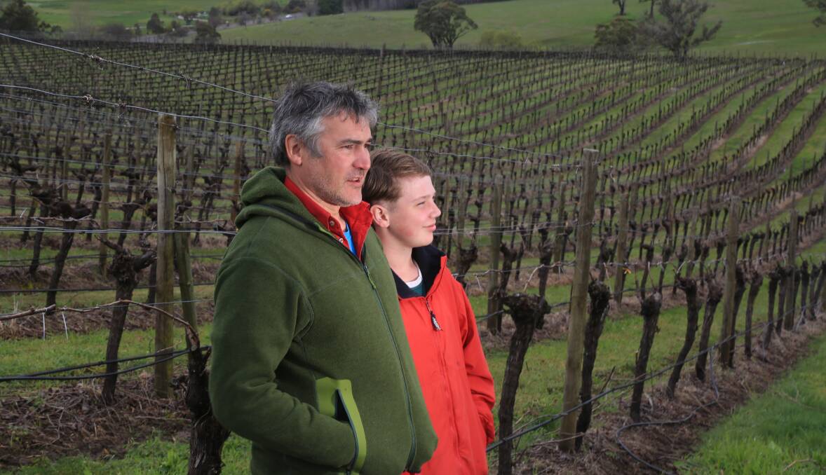 DAMP OUTLOOK: Daniel and Darcy Shaw at the Philip Shaw vineyard where access is being limited due to wet weather. Photo: PHIL BLATCH 0929pbvine2