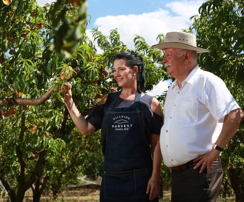 HANDS-ON TOURISM: Hillside Harvest manager Hayley Cantrill and Orange councillor Chris Gryllis are hoping to increase tourism to Orange through a pick-your-own fruit initiative. Photo: PHIL BLATCH 0118pbpeach7 