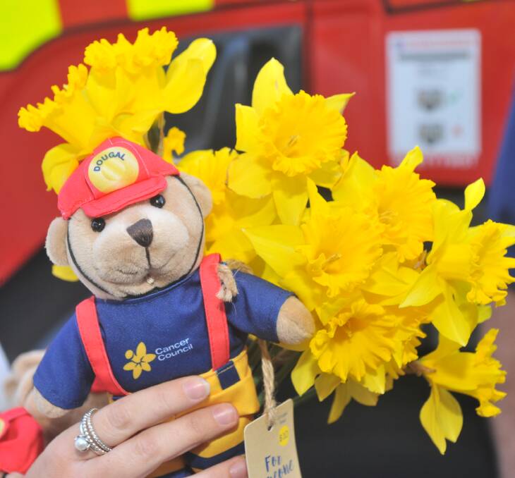DOUGAL BEAR NEEDS YOU: The Cancer Council's collectable teddy, Dougal Bear has a firefighter theme this year but volunteers are needed to help man fundraising stalls. Photo: JUDE KEOGH