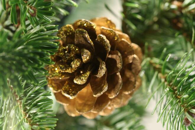 AUTHENTIC: The Rotary Club of Orange is selling real trees to decorate for Christmas this year. Photo: STOCK PHOTO