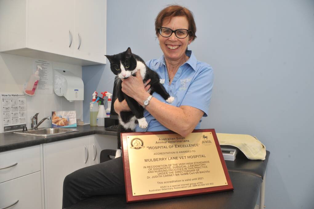 CENTRAL WEST FIRST: Mulberry Lane Vet Hospital director and owner Judith Carney with resident cat Sylvester is delighted the hospital is accredited. Photo: JUDE KEOGH