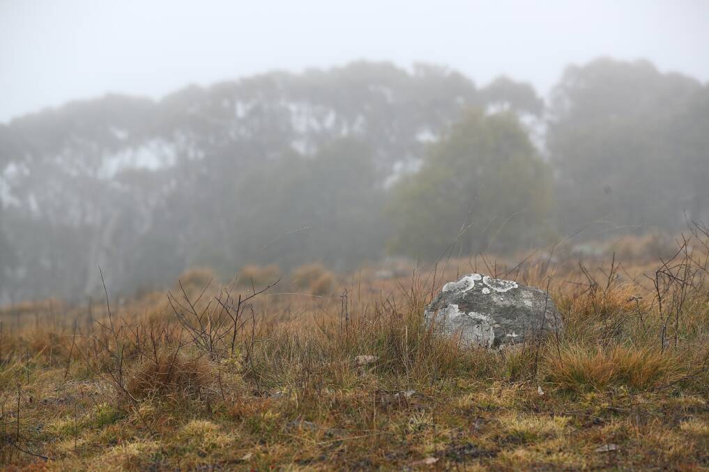 OPEN AGAIN: It was a misty up on Mount Canobolas on Monday. Photo: PHIL BLATCH