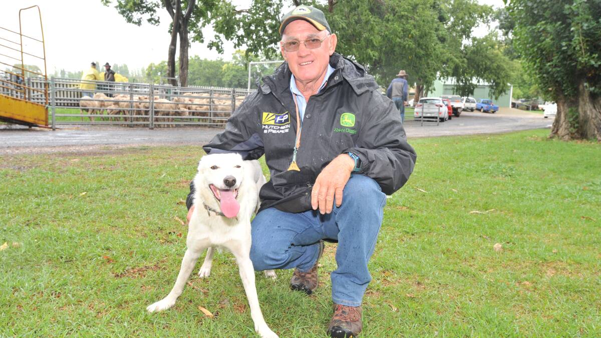 NSW Sheep Dog Workers championship trials