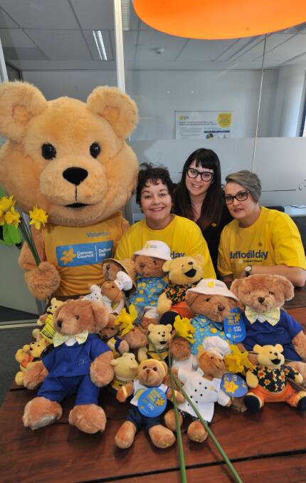 A BEARY IMPORTANT CAUSE: Dougal the Cancer Council bear, Sandy Ostini, Brianna Carracher and Kellie Grant encouraged everyone to donate. PHOTO: JUDE KEOGH