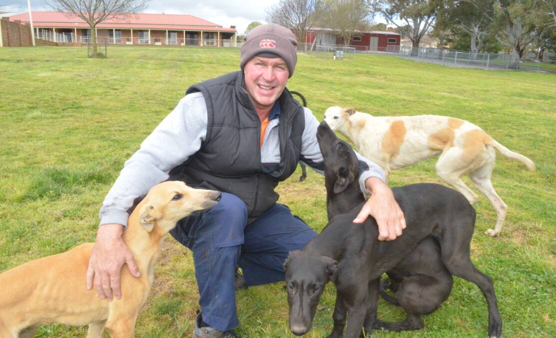 ROOM TO MOVE: Mr Halliman with four of the 300 greyhounds he has raised on his 200 acre property. PHOTO: EMILY BENNETT