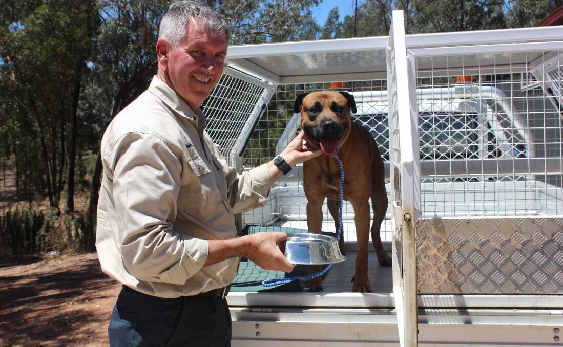 WARNING: Mid Western Regional Council Ranger Chris Burns illustrates how to care for your dog in town, giving Rusty water.