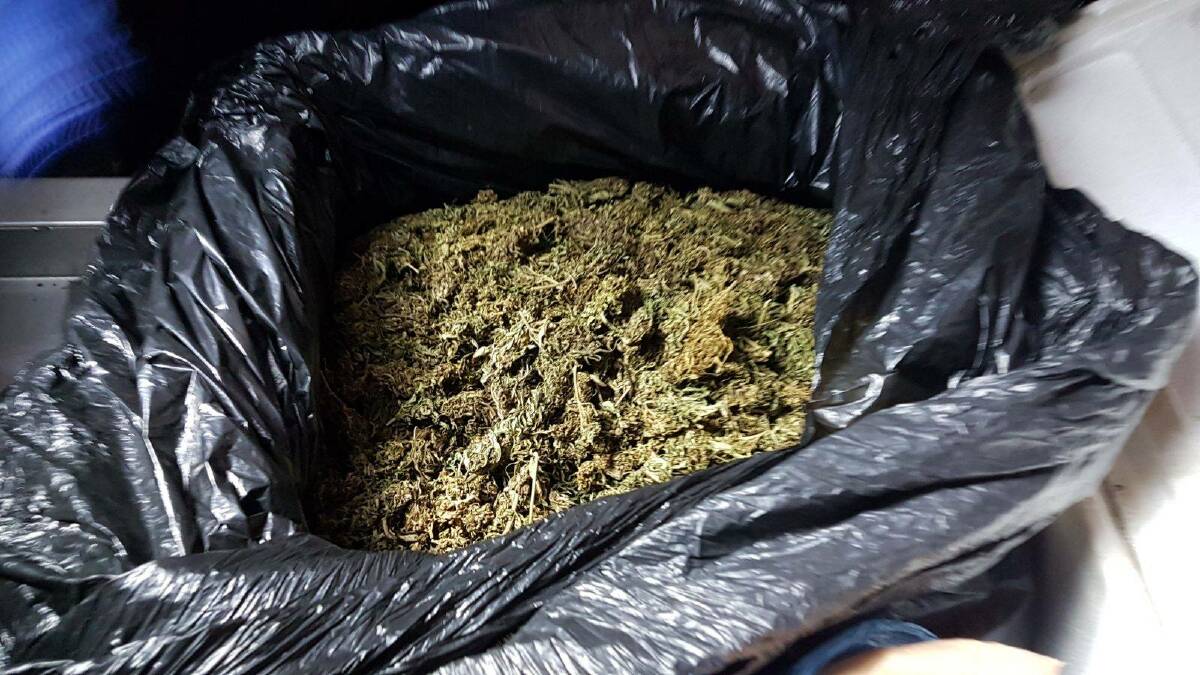 BIG HAUL: Two men fronted court on Tuesday facing charges relating to cultivating 500 cannabis plants at a property on Bundalah Road at Euchareena. Photos: NSW POLICE