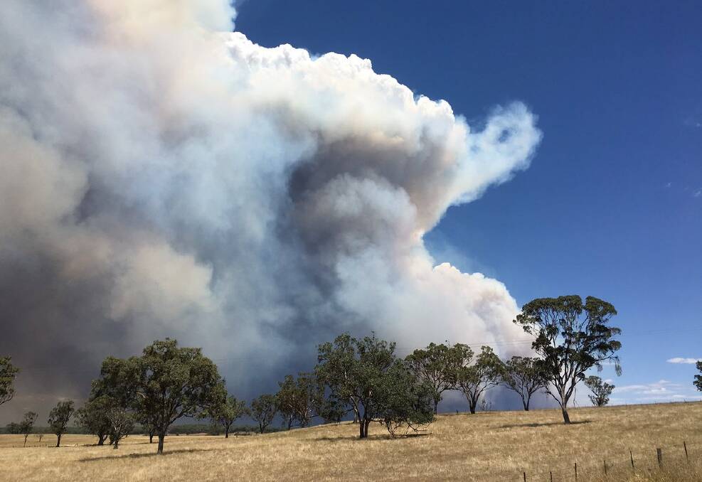 FIRE RACING: The RFS warned stong winds in the region would enable the fire in the Leadville to spread quickly. Photo: RFS