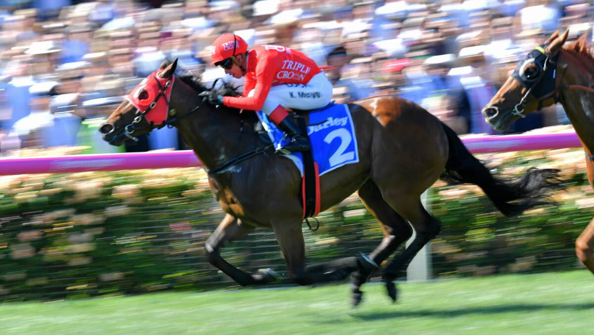 GET ON RED: Kerrin McEvoy steers Redzel to a dominant win in Saturday's Darley Classic at Flemington, the sprinter's sixth straight win. Photo: JOE ARMAO