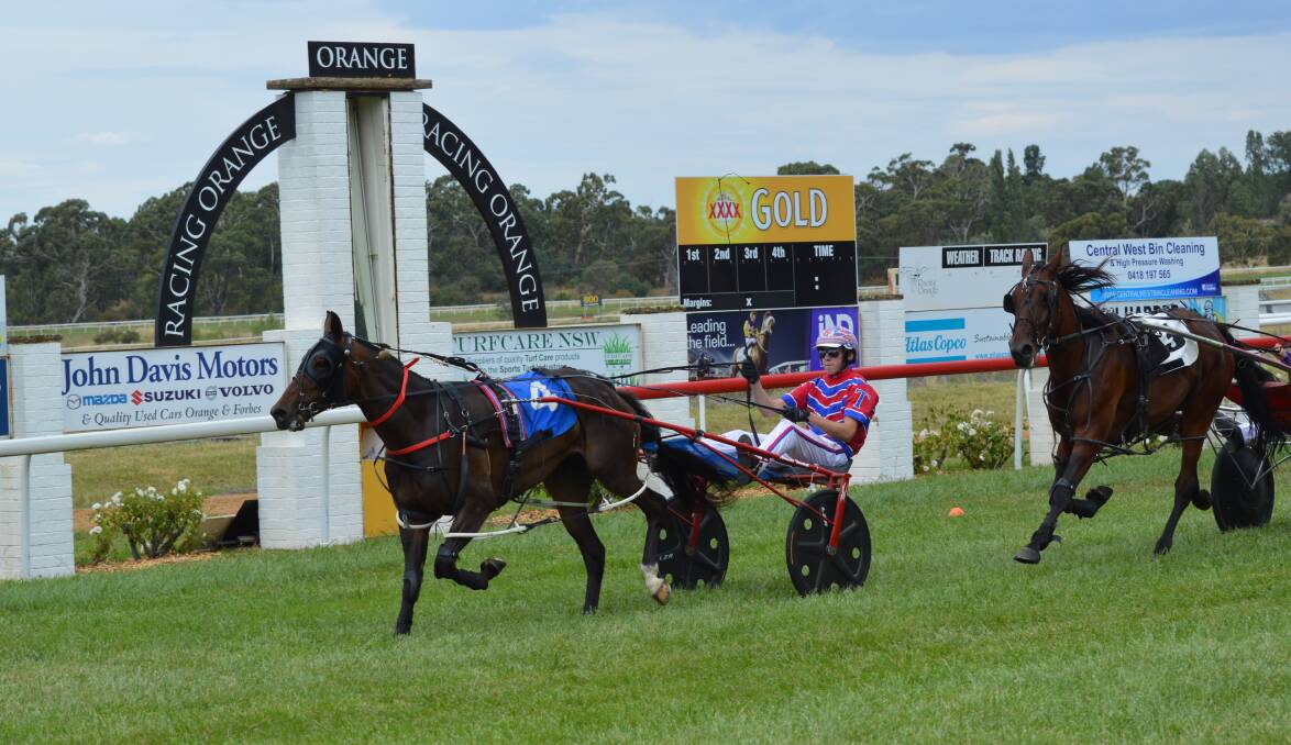 Matt Findlay was on hand to snap the first ever harness race at Towac Park on Sunday.