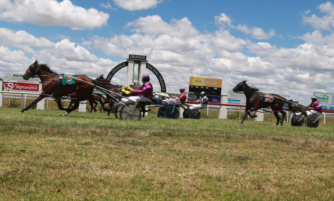 SIGHT FOR SORE EYES: Drivers whiz past the Towac Park finishing post in Friday's final harness racing trial run. Photo: PHIL BLATCH