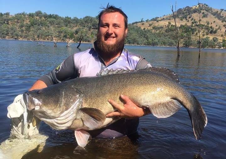 MONSTER OF THE DEEP: Zacc Broderick, showing good practice in getting in the water with the fish, shows off his massive, 121cm Murray cod this week. Photo: FACEBOOK
