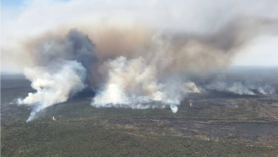 SMOKE COMING OUR WAY: The bushfire at the southern edge of the bushfire burning in the Pilliga National Park. Photo: NSW Rural Fire Service