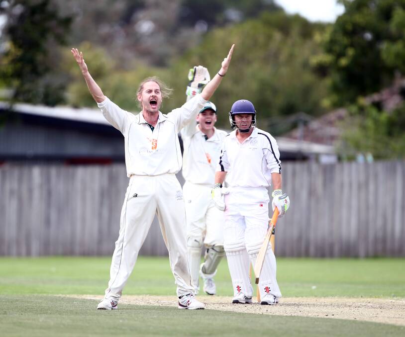 ASKING THE QUESTION: Tom Walters appeals for the wicket of Andrew Litchfield. Photo: ANDREW MURRAY 0106amcrick16