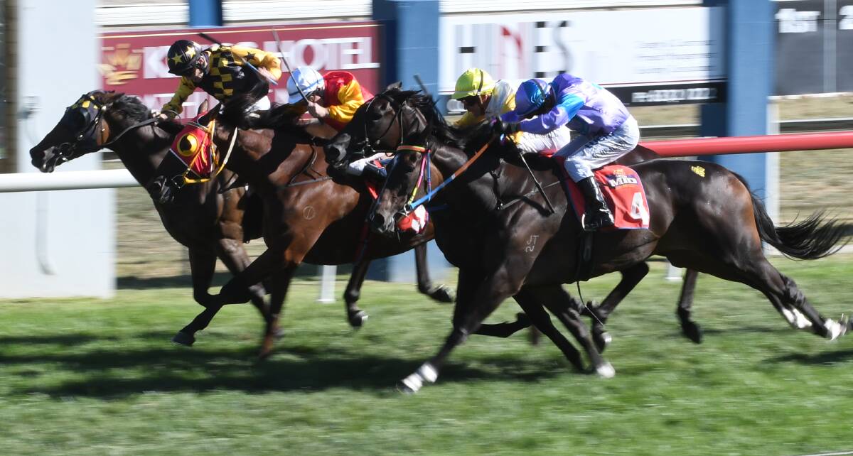 WALL OF HORSES: Hirokin (far left) holds on to win ahead of Subway Surfer, Letter To Juliette and Illyrian. Photo: CHRIS SEABROOK