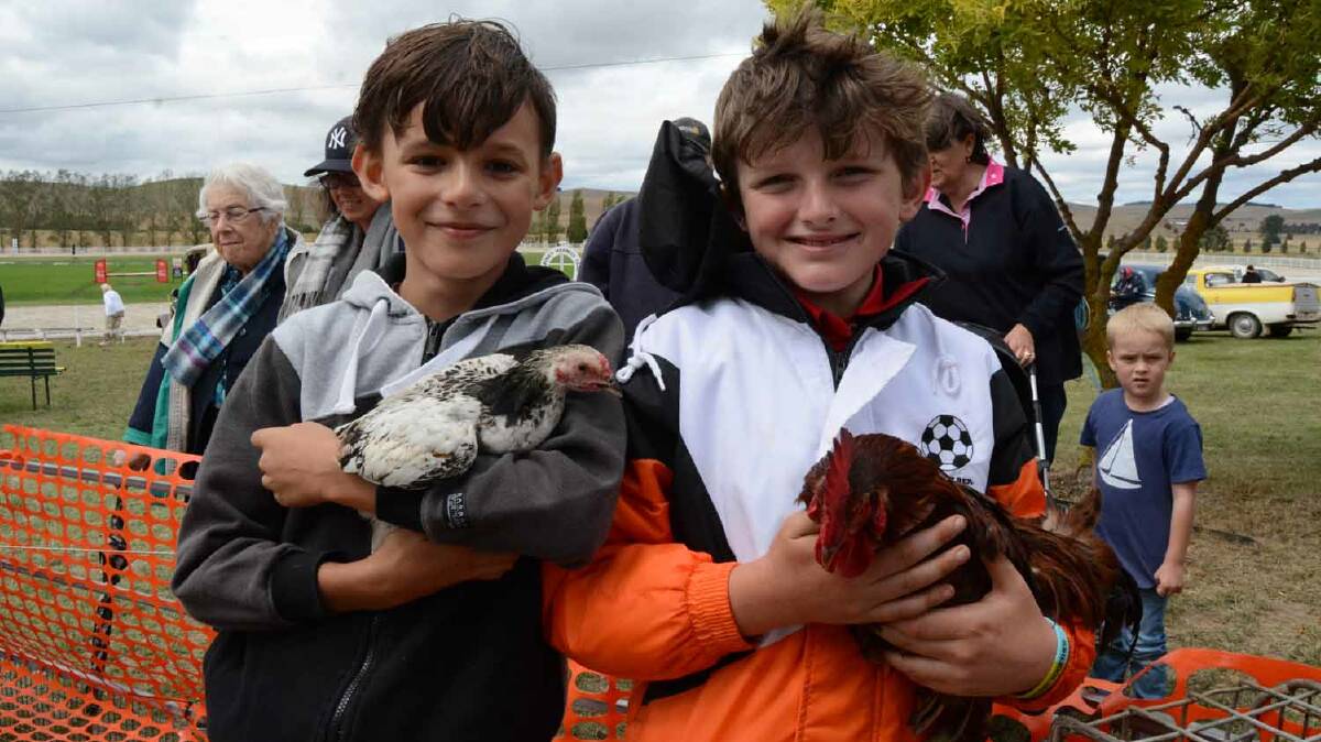 A couple of good lookin' roosters: The Annual Blayney Show is back in town with all your favourites returning to entertain crowds.