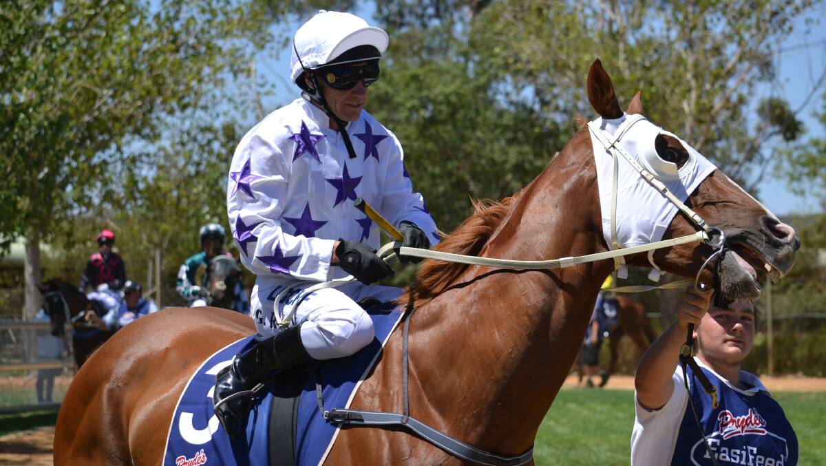 NO GO: The Darren Hyde-trained Eyesaw will still be in action at Dubbo Turf Club on Sunday, just not in the rich qualifier. Photo: NICK GUTHRIE