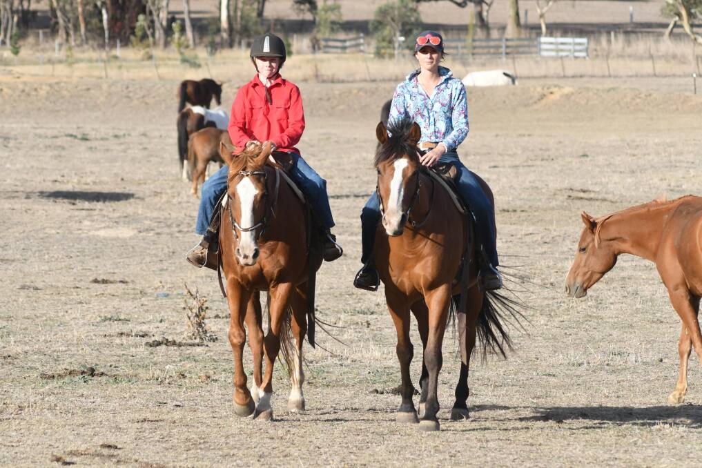 DROUGHT DAYS: Curtis Heggs is riding Jess and Shaniah Ind is riding Zipper across a very dry looking Ruby Hill Equine Centre property. Photo: JUDE KEOGH 0409jkhorses3